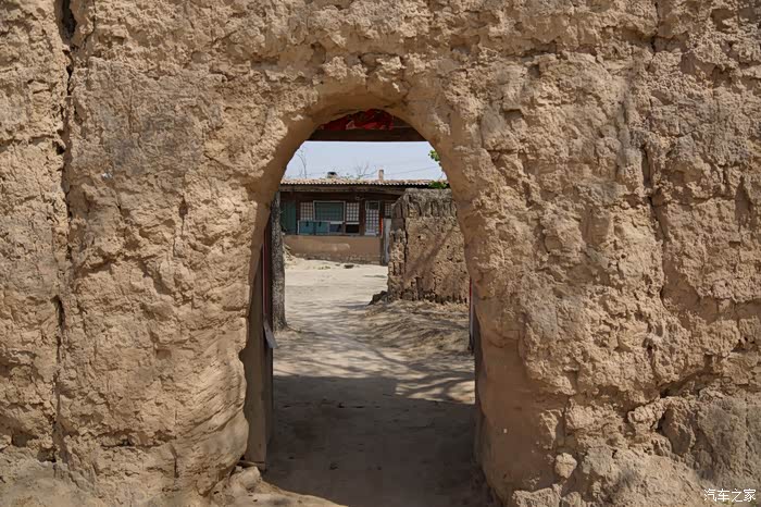 你好2021山西定襄县古村落宽沟村的香椿出芽了