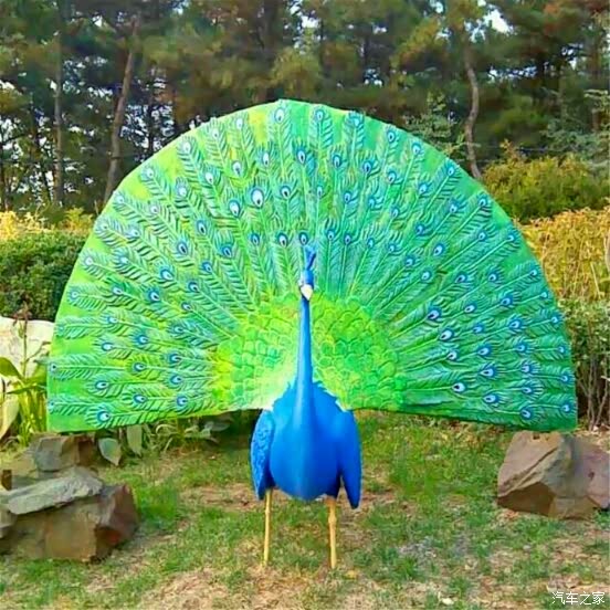 这只孔雀怎么这么丑,比刚才那只的颜值差远了,到了晚餐的时间啦,准备