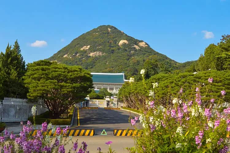 青瓦台背靠韩国颇具王者气派的名山—北岳山
