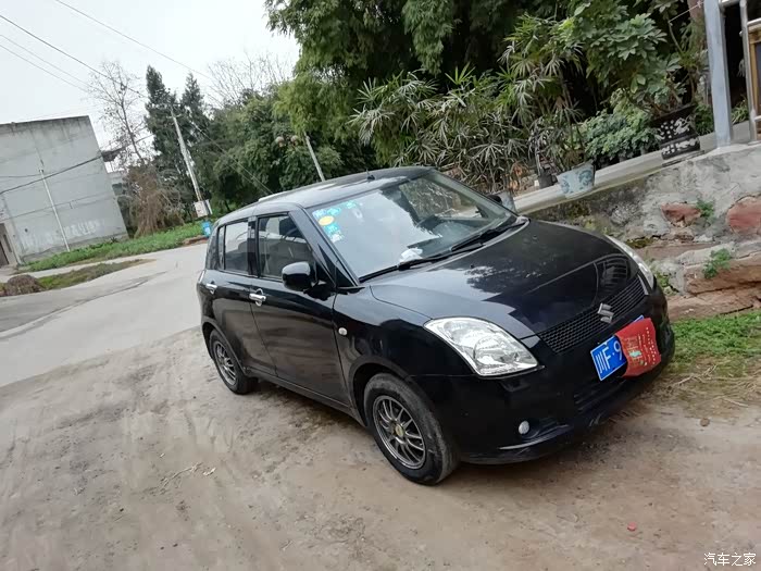 四川德阳出个黑色雨燕