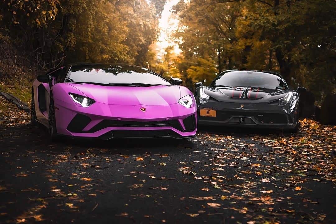 粉色大牛,是你们喜欢的吗?