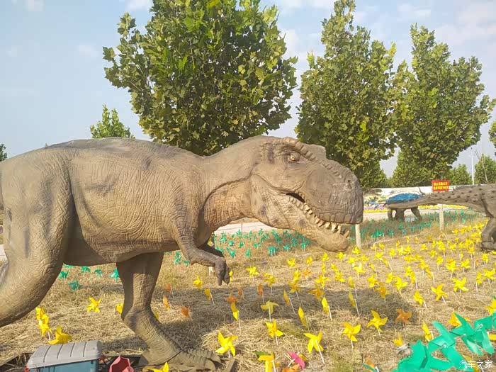 石家庄长安车友会车友相约游玩恐龙园