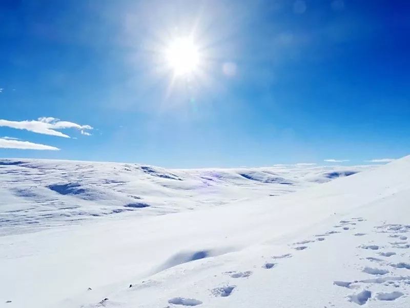 白茫茫的一片都是雪景