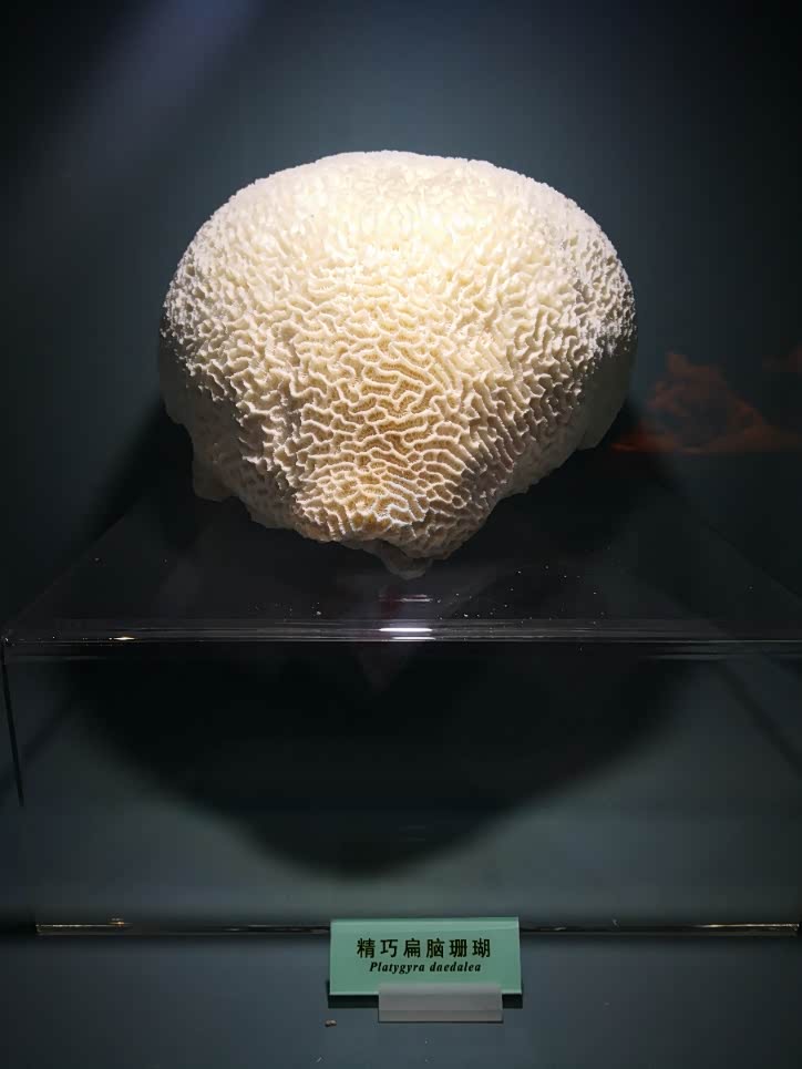 单人单车走天津