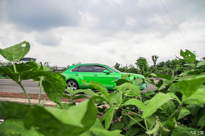 230 | 回复: 4 宾利论坛 求拉一个添越车主群沙发发表于 2020-11-17