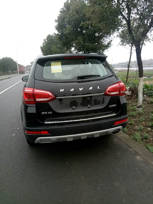 哈弗h6啥时候有黑标了