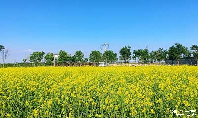 游览唐山燕沣园生态农场