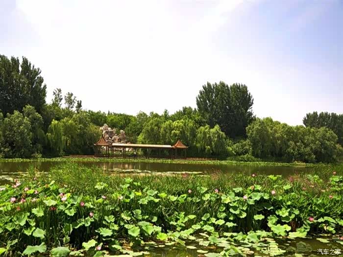 吉林市长安车友会大75陪我赏吉林绿洲湿地公园