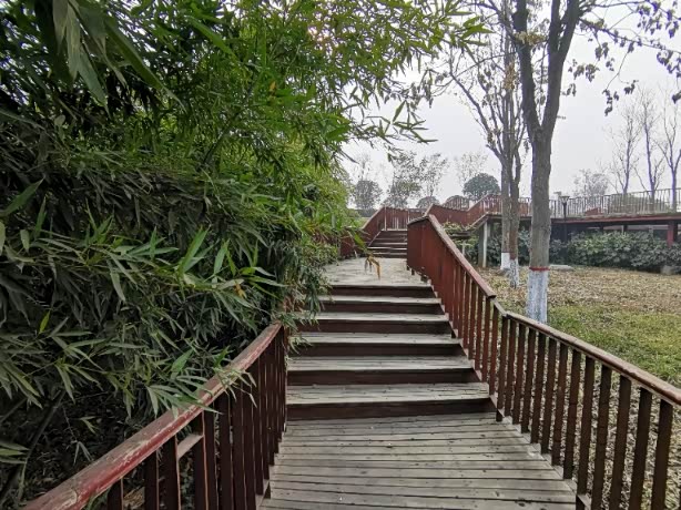 冬游临潼鸣犊泉公园