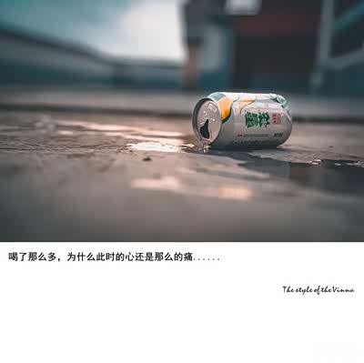 偶像剧里时常会演那幕   失恋者必定会借酒买醉只想把那个烙在脑海