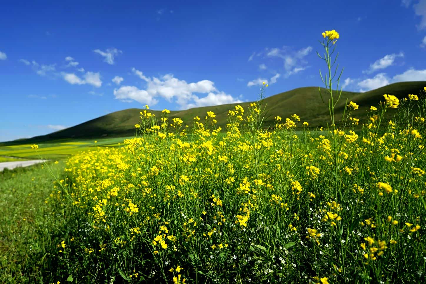 最美的季节,最美的色彩,感受自然缤纷,远离城市喧嚣