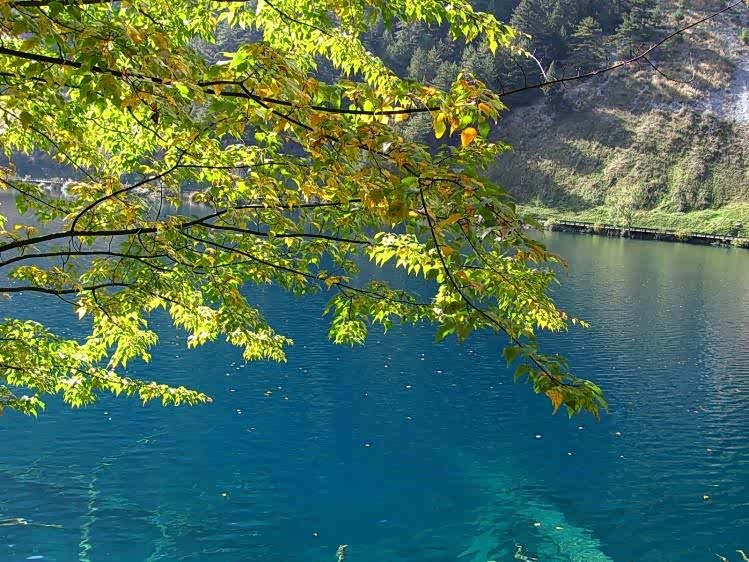 只要有一颗放松而美好的心态,生活便是美好