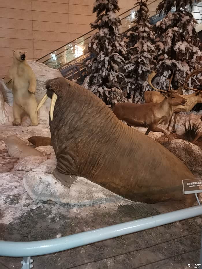 打卡上海科技馆之动物世界和生物万象篇