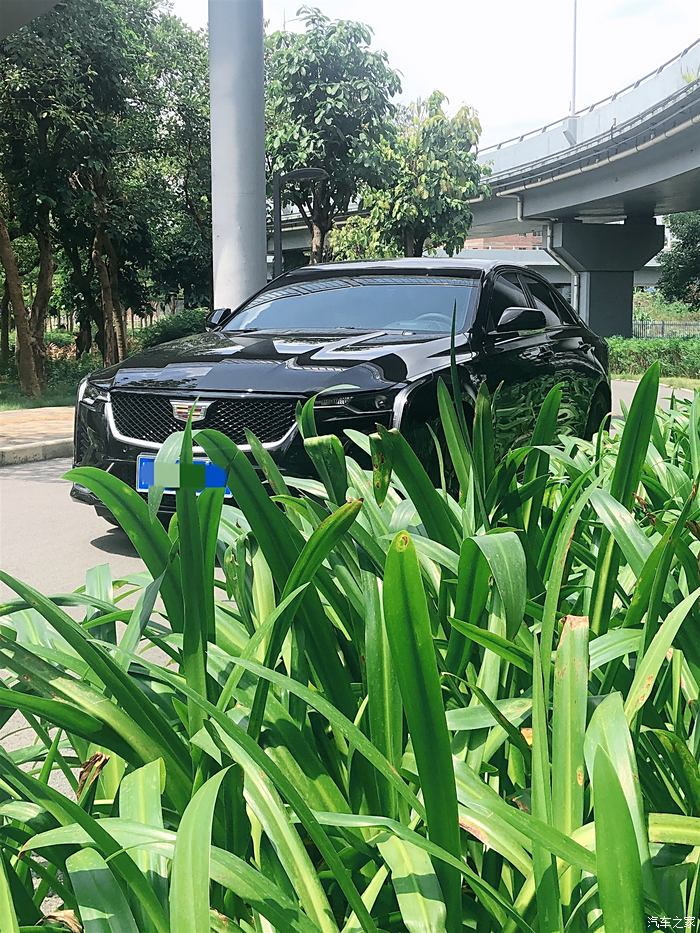 凱迪拉克ct4精英黑色——提車用車記