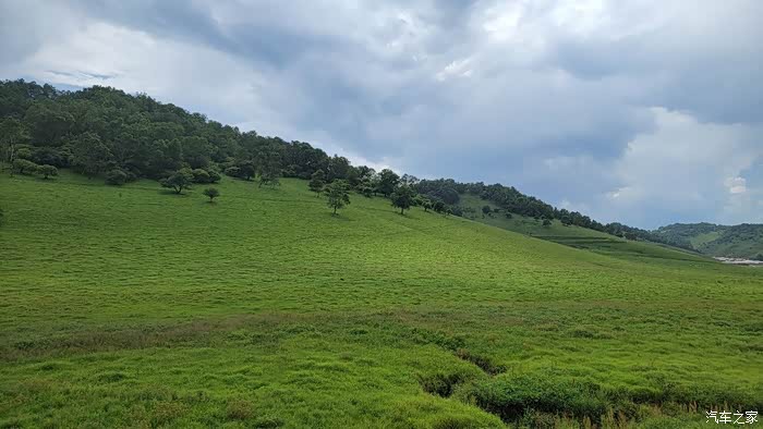 大途伴我千里游大美关山牧场草原