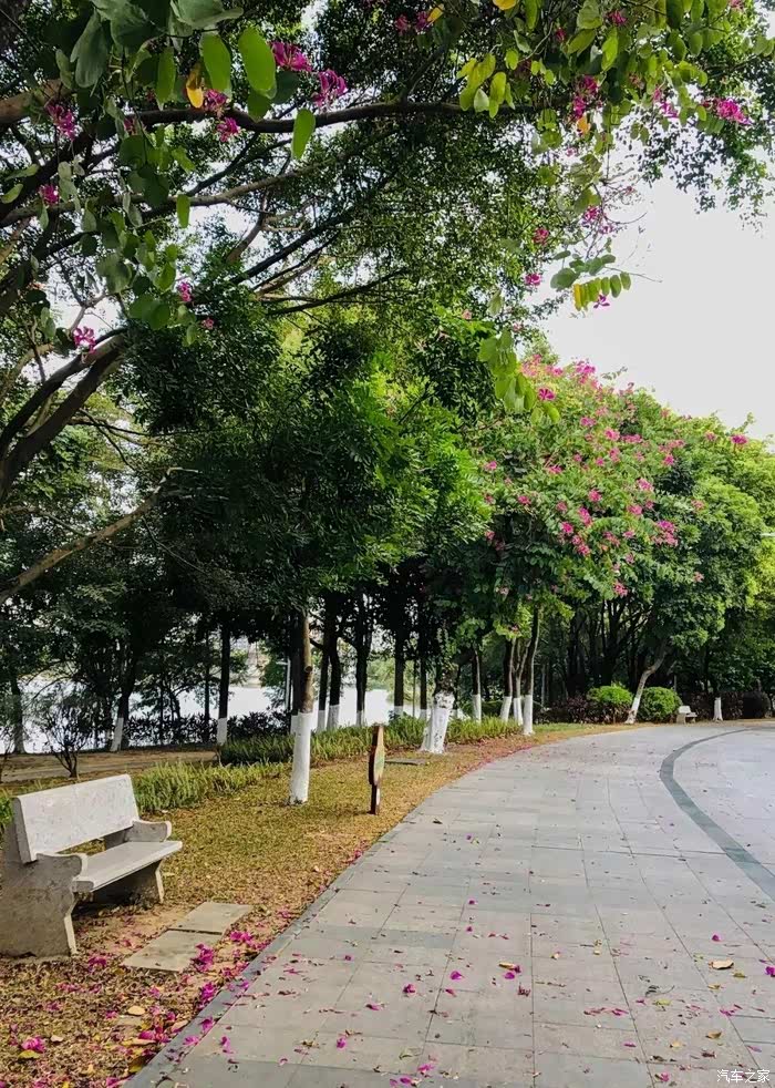 忆2020岁月尚好周末打卡松湖公园