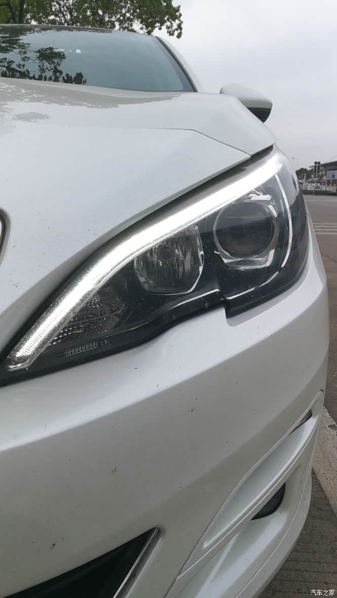 【图】白内障更换308大灯总成_标致408论坛_汽车之家论坛