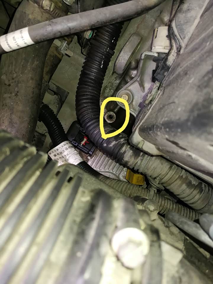 这是变速箱的出气口吗