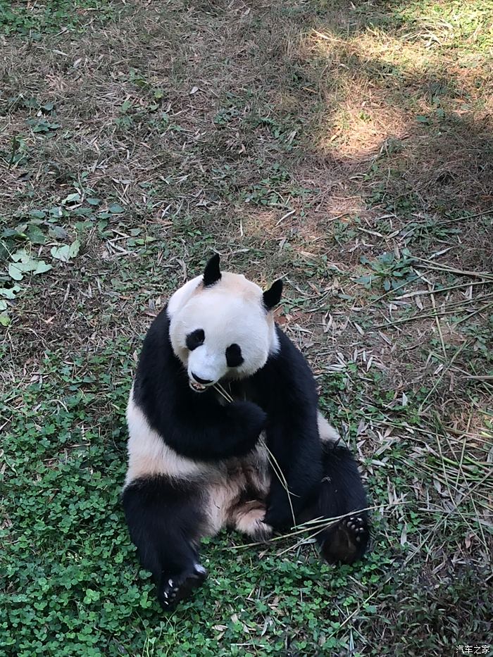 天氣越來越冷,約上三倆好友去南山竹海泡溫泉