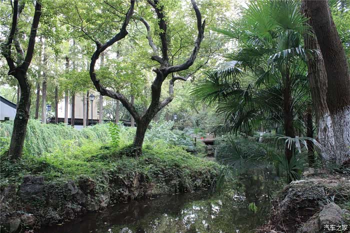 上海cs75官方车友会253小何赏憩园看美景