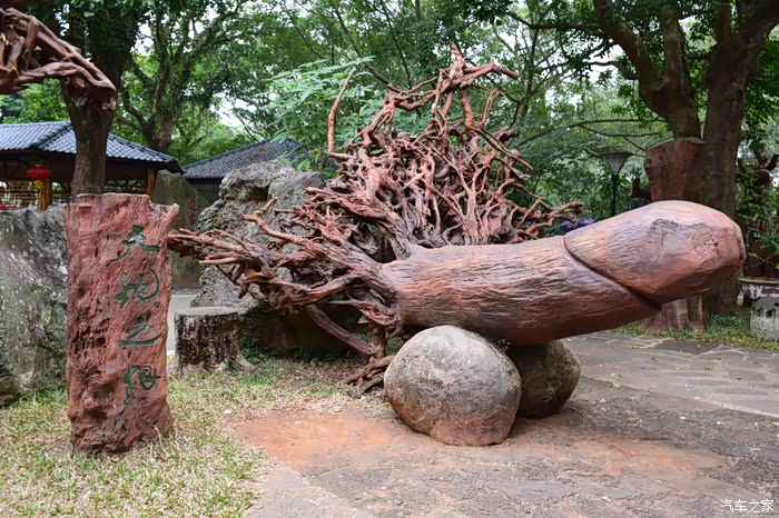 雷琼火山口地质公园