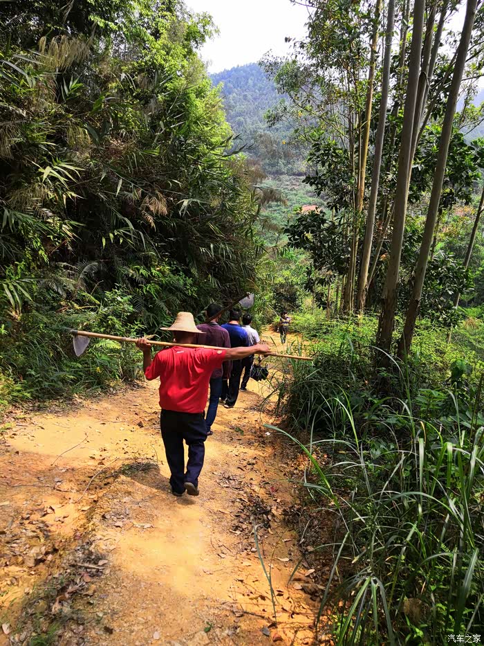 清明节传统习俗回乡拜山祭祖