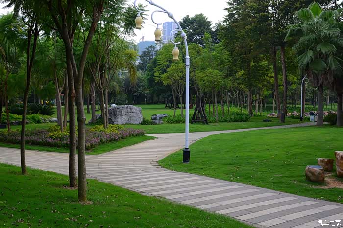 烈阳高照柳州鹿山公园秀美大自然