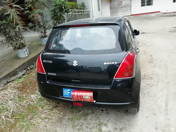 四川德阳出个黑色雨燕