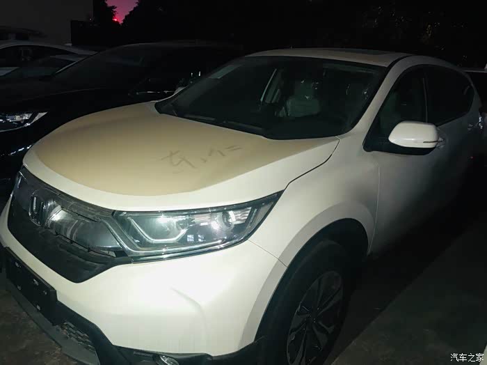 大白,我的世界从此以后多了一个你!(最后附送美女福利)