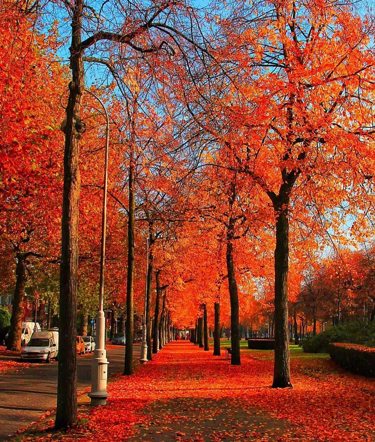 抹去不干的眼泪旅行给我们带来新的方向