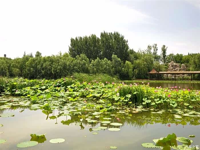 吉林市长安车友会大75陪我赏吉林绿洲湿地公园