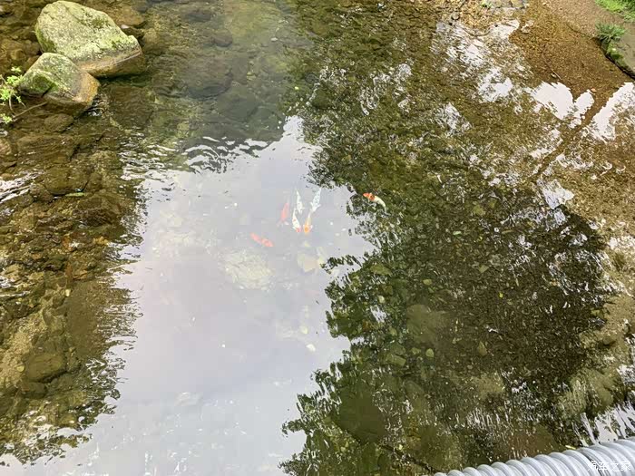 林海茫茫,小溪涓涓~大山里的美景