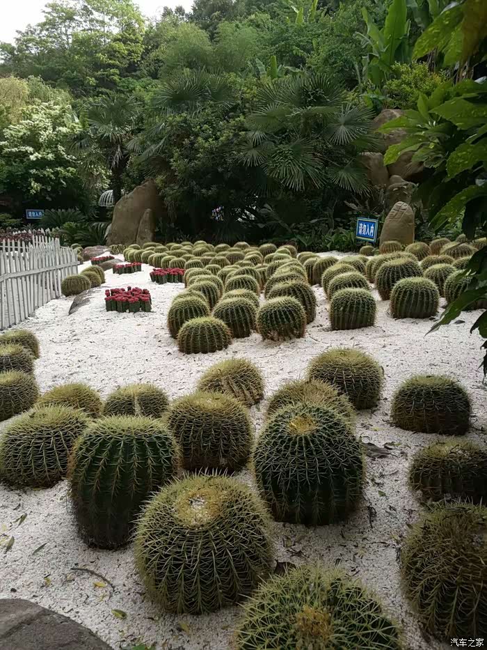 汽车之家贵州哈弗车友圈国庆最后一天假期贵阳寻梦谷一日游