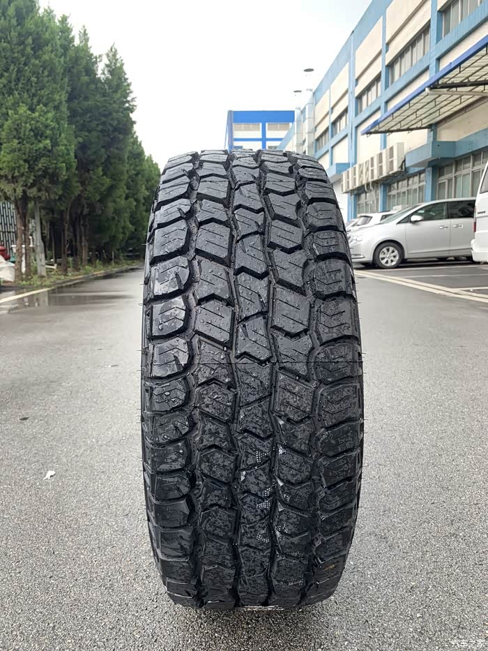 y62米奇汤普森d38at2856518