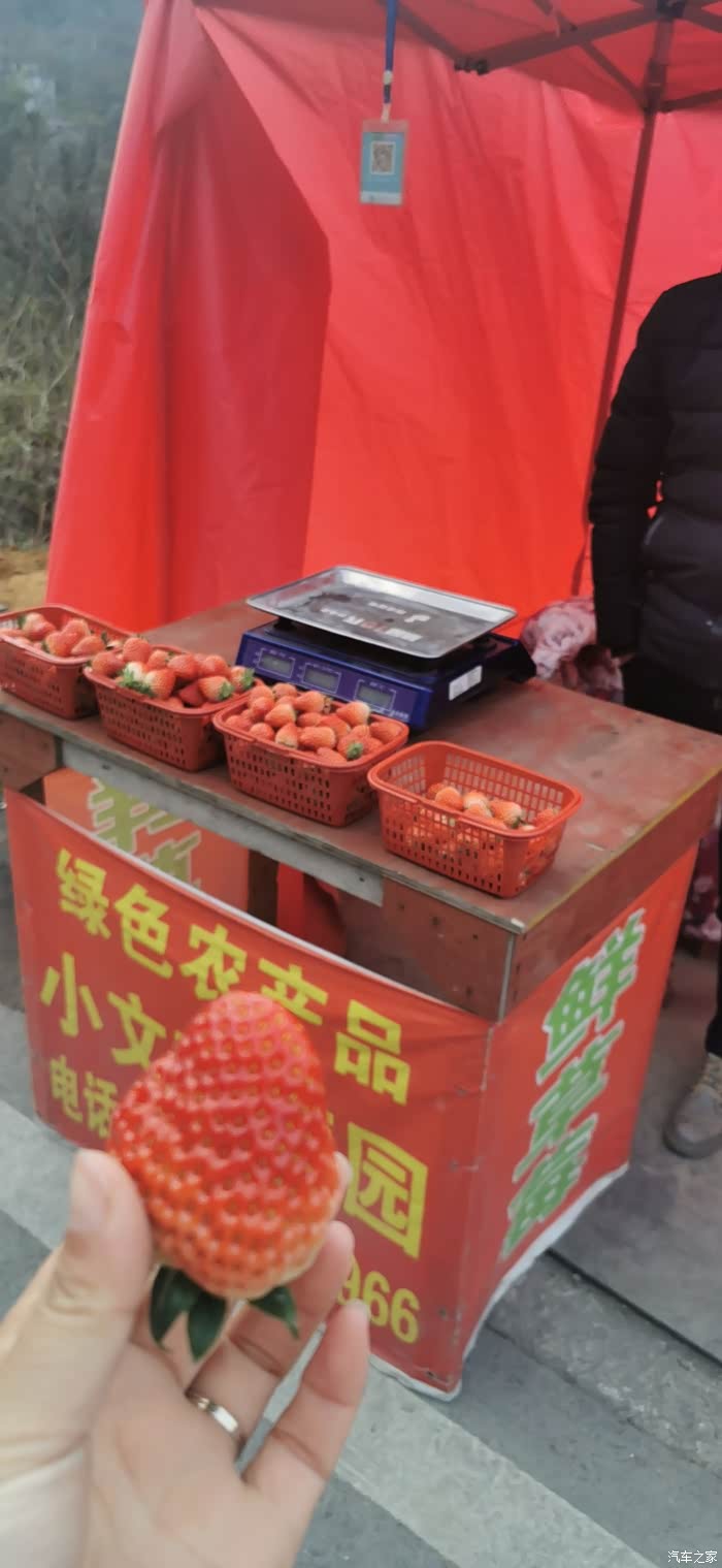 听说55plus和草莓更配哦!