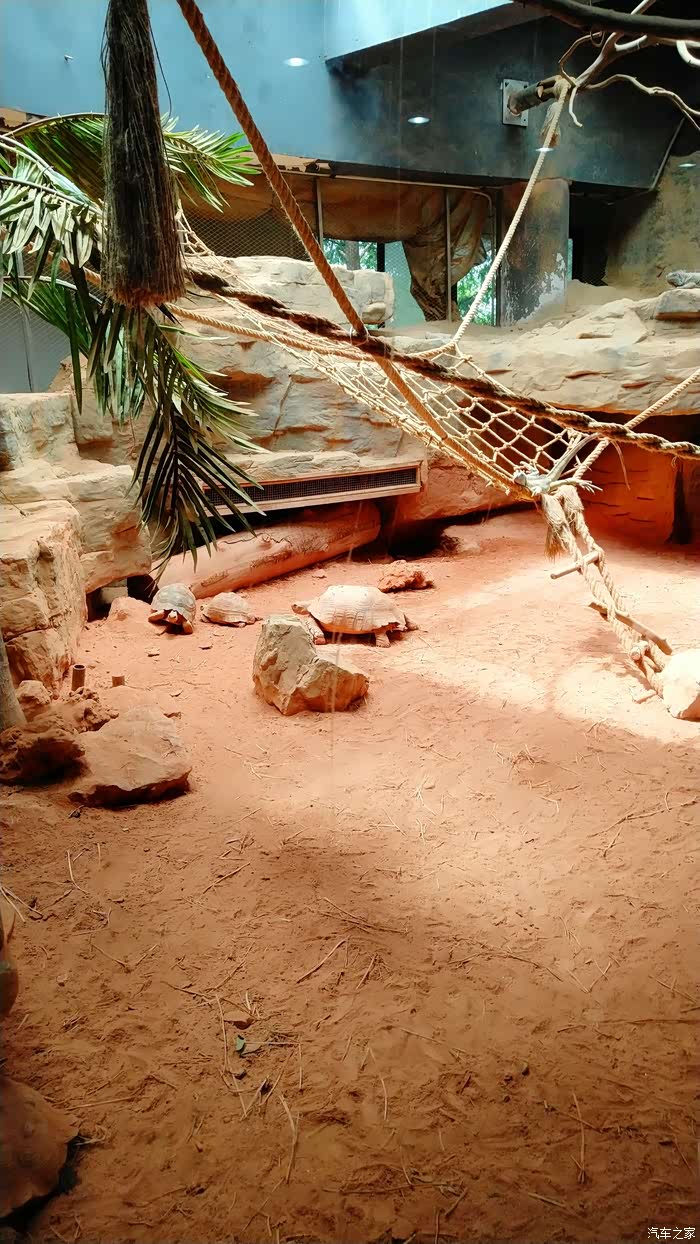 游记分享之两栖动物爬行馆