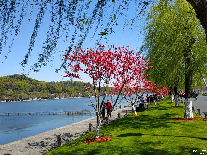 白堤美景四月天桃红柳绿惹人醉