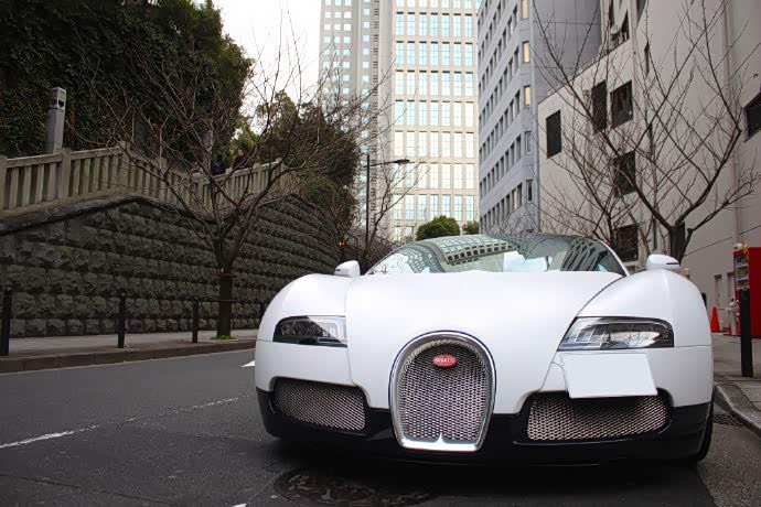 白色大肥龙一枚——布加迪威龙