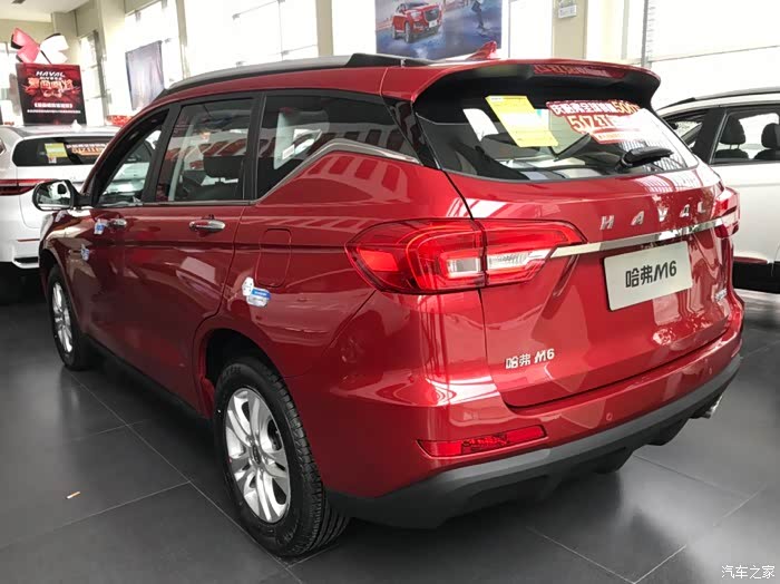 猪年喜提红m6新年好彩头愿诸事顺利