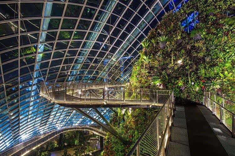 自然与科技的融合——新加坡"滨海湾花园"