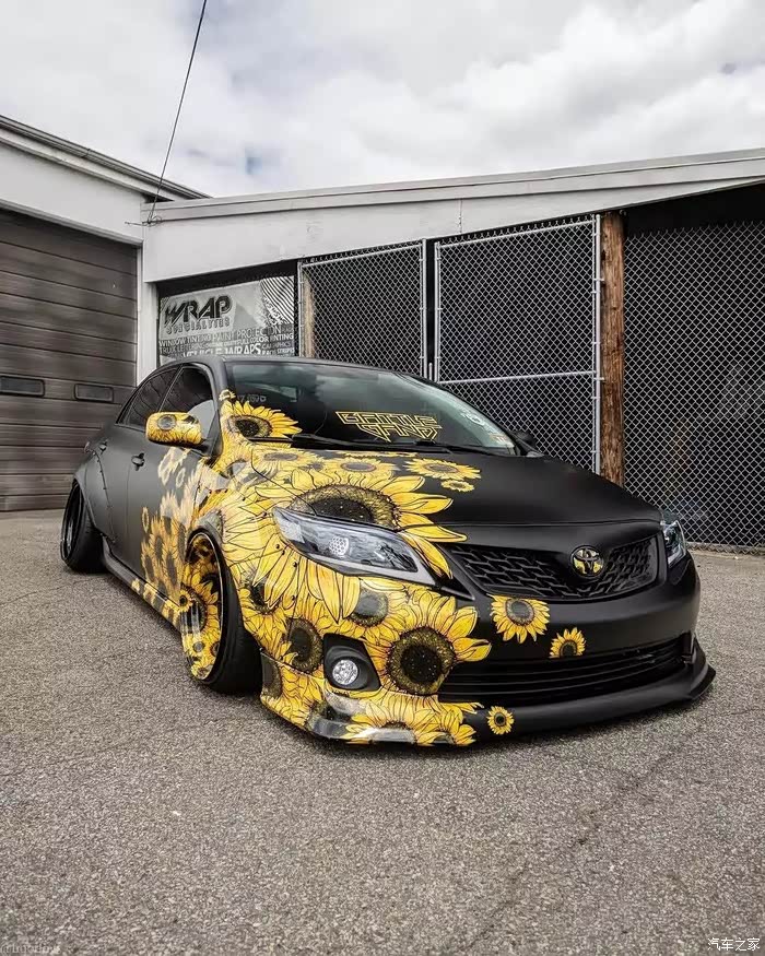 【图】菊花牌卡罗拉你喜欢吗?_青少年论坛_汽车之家论坛