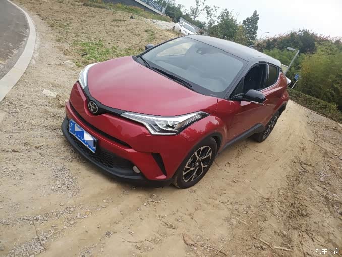 【图】菊花展角落帅气潮拍,我的chr_丰田c-hr论坛_汽车之家论坛