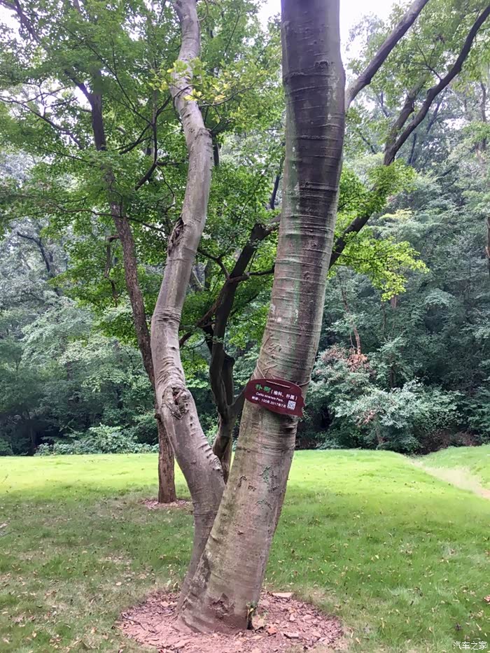 意料之外超值的半天游狼巷迷谷