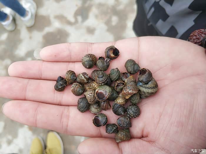 弄了一把小波螺