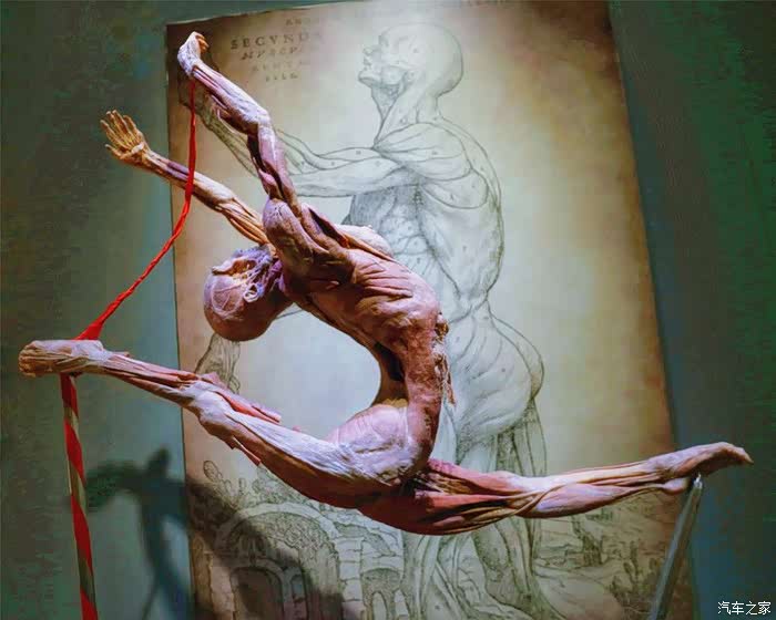 告别大连,最美好的记录都在心里!