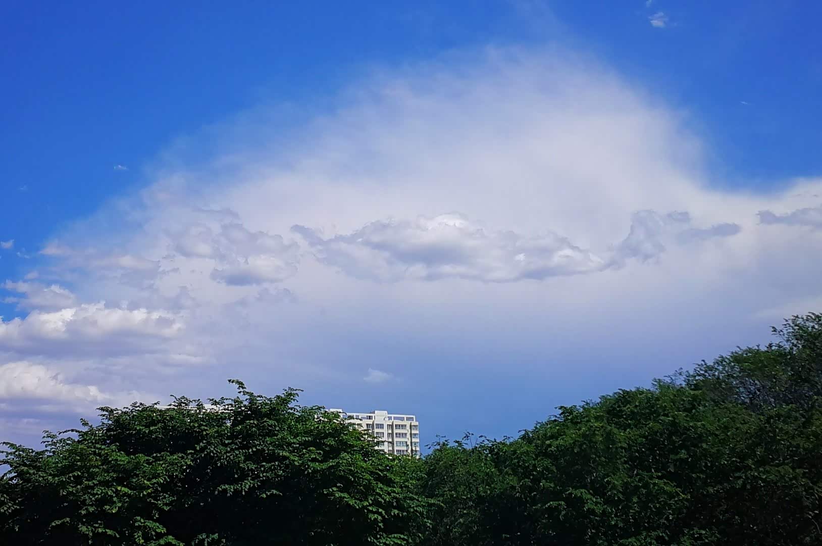 图 去美丽郊外,感受一下大自然蓝蓝的天空一碧如洗.