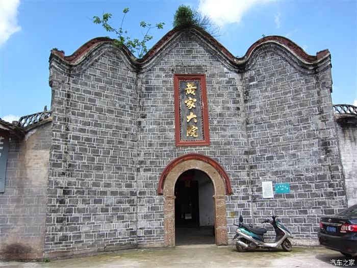 枝繁叶茂,遮天蔽日--凉爽之地青林口.