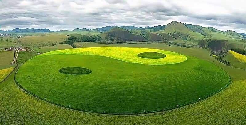 "世界最大农作物太极图景观"位于中俄界河的额尔古纳河右岸