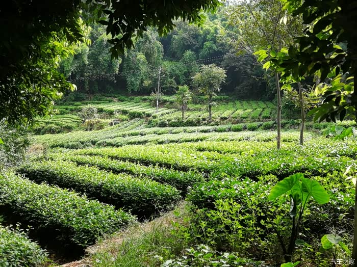 花楸山寻觅李家大院