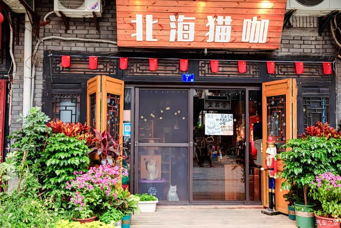 祝新车满月游武汉一